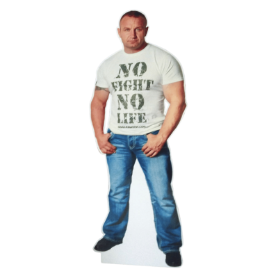 cardboard cutout cover
